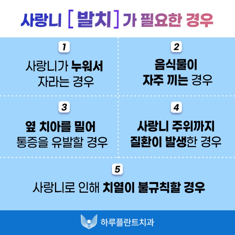 강남 하루플란트치과 사랑니발치, 사랑니 꼭 뽑아야할까요? 사진 9