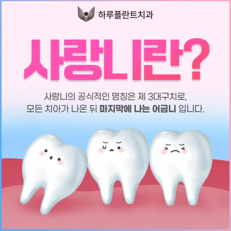 강남 하루플란트치과 사랑니발치, 사랑니 꼭 뽑아야할까요? 사진 3
