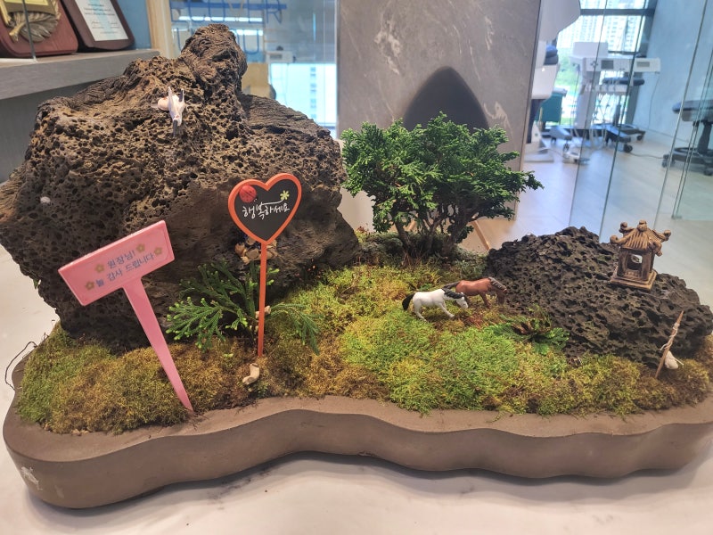 [하루플란트치과일상] 환자분이 보내주신 선물 💝