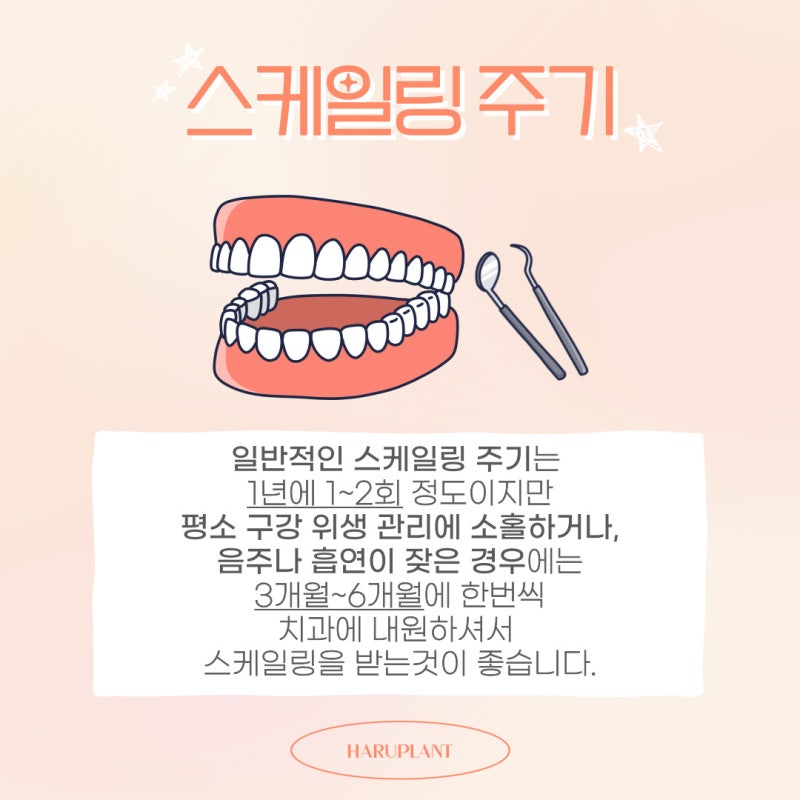 강남역치과 하루플란트치과 스케일링 건강보험 적용 비용,주기 사진 4