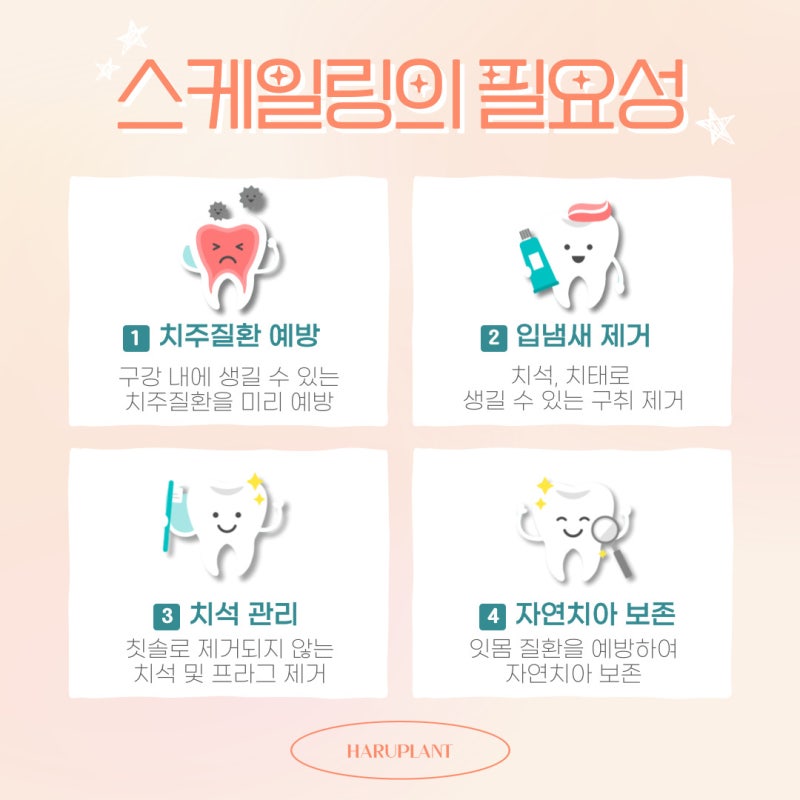강남역치과 하루플란트치과 스케일링 건강보험 적용 비용,주기