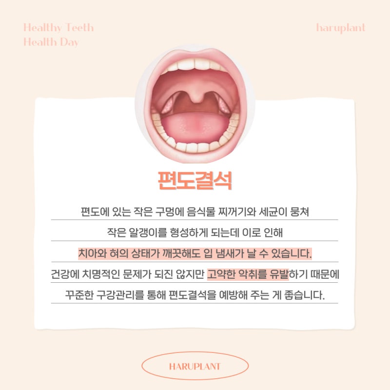 강남역 하루플란트치과 양치 후에도 사라지지 않는 입냄새 원인은 사진 6