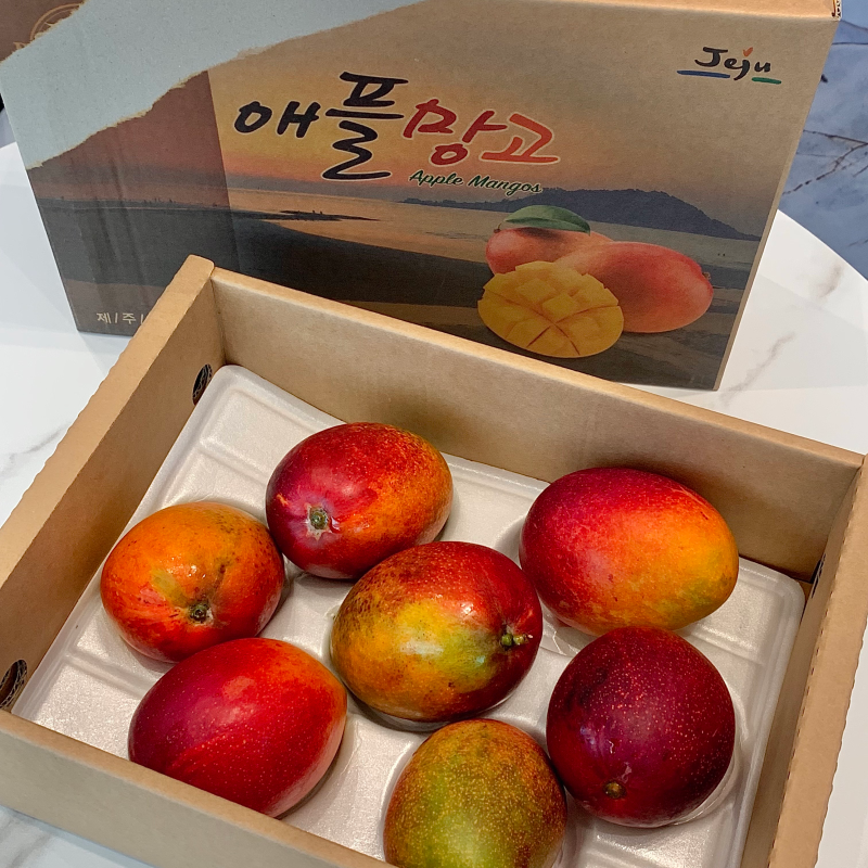 [하루플란트치과일상] 환자분이 보내주신 선물💝
