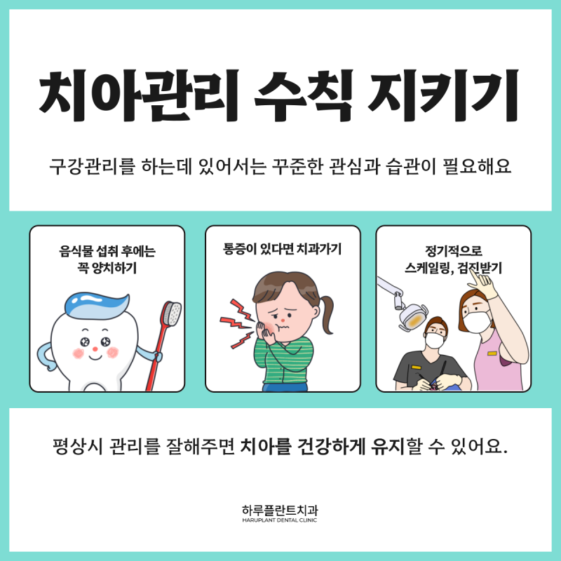 [HARU치과상식] 치아관리로 건강하게 치아지키기 사진 5