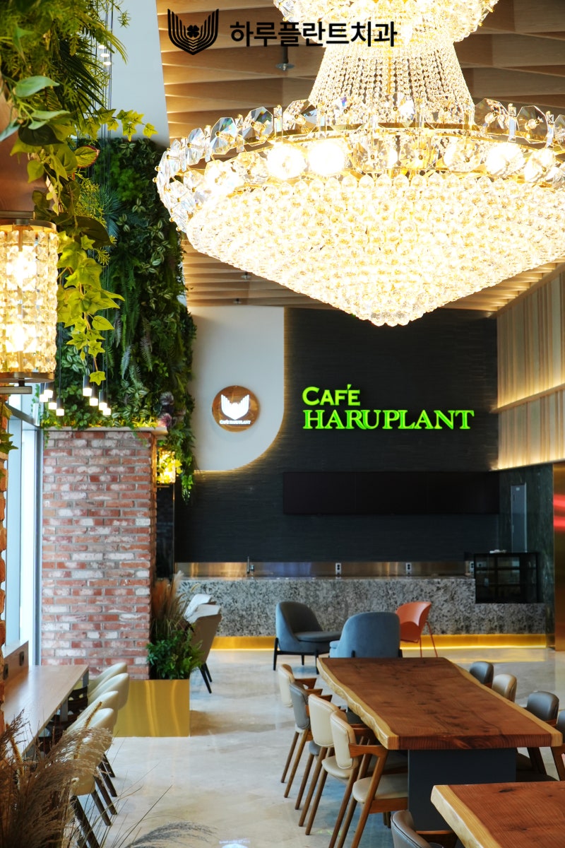 [HARU소식] 하루플란트치과 고객전용카페 GRAND OPEN 사진 5
