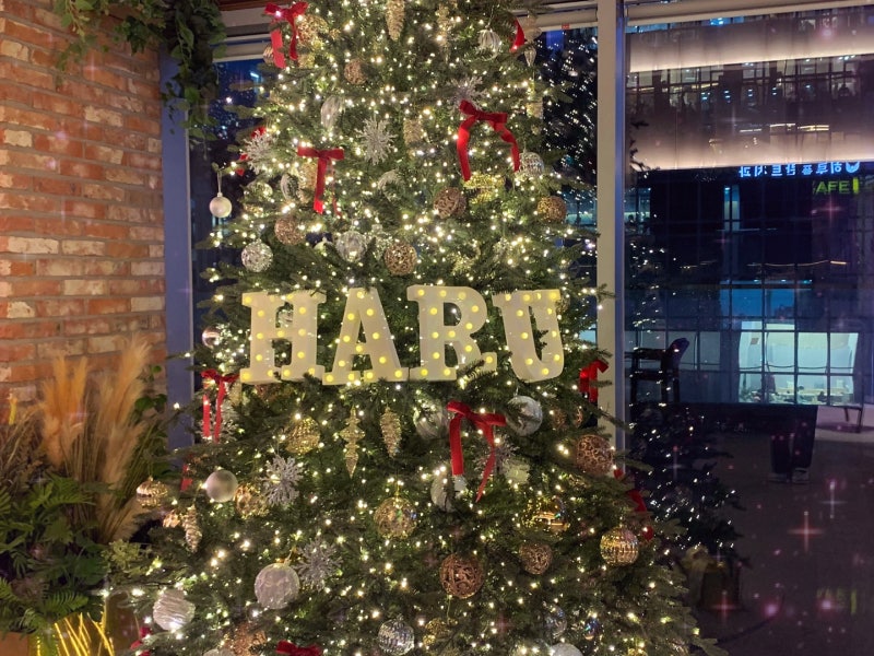 [강남역야간진료치과] 하루플란트치과 12월 진료일정 안내 (feat.크리스마스 이벤트🎄)