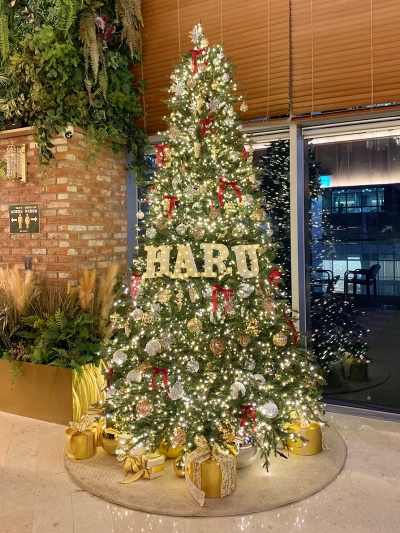 [강남역야간진료치과] 하루플란트치과 12월 진료일정 안내 (feat.크리스마스 이벤트🎄) 사진 3