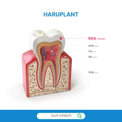 하루완성 하루네이트, 네 가지 핵심 가치