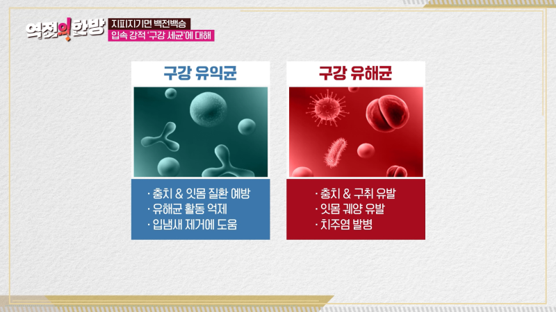 하루플란트치과 김형규 원장 TV조선 역전의한방 구강 관리법 출연 사진 2